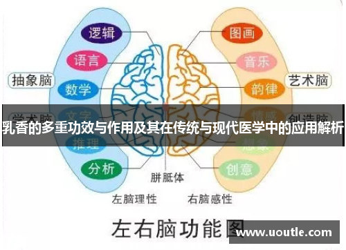 乳香的多重功效与作用及其在传统与现代医学中的应用解析