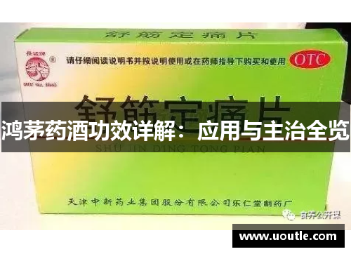 鸿茅药酒功效详解：应用与主治全览